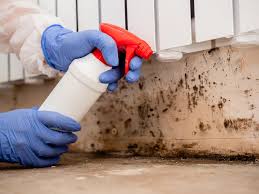 Why You Should Choose Our Mold Remediation Services in Temple Hills, MD